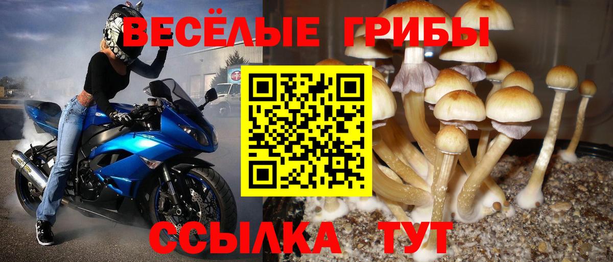 Псилоцибиновые грибы MAGIC MUSHROOMS  купить закладку  Чапаевск  Галлюциногенные грибы мицелий  Вход с VPN 